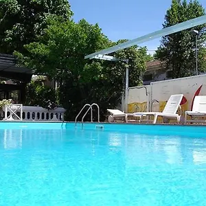 Apis Rimini